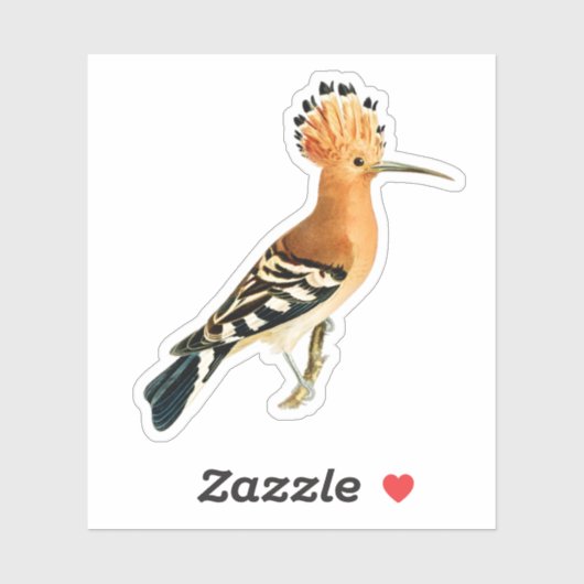 Eurasian Hoopoe Bird Sticker (Vel)