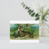 Eurasian Lynx Briefkaart (Staand voorkant)