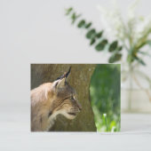 Eurasian Lynx Briefkaart (Staand voorkant)