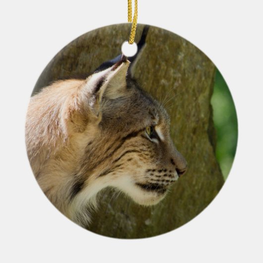 Eurasian Lynx Keramisch Ornament (Voorkant)