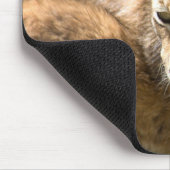 Eurasian Lynx Muismat (Hoek)