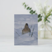 Eurasian Skylark Bird Close Up DIY Postcard Feestdagenkaart (Staand voorkant)
