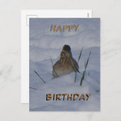 Eurasian Skylark Bird Cust. Text Birthday Postcard Feestdagenkaart (Voorkant / Achterkant)