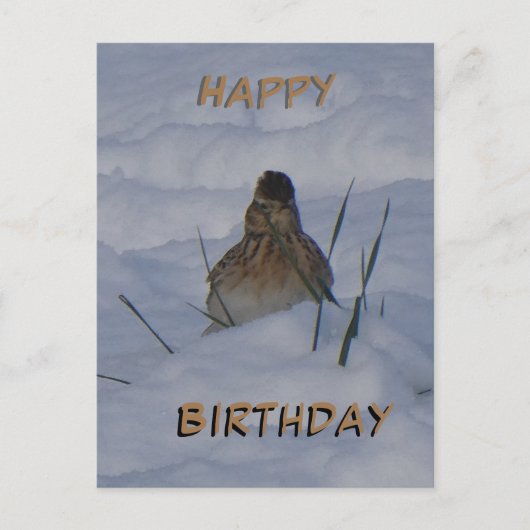Eurasian Skylark Bird Cust. Text Birthday Postcard Feestdagenkaart (Voorkant)
