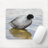 EurasianCoot Muismat (Met muis)