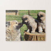 Eurasier Dog en puppies Legpuzzel (Horizontaal)
