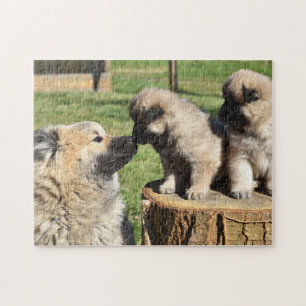 Eurasier Dog en puppies Legpuzzel