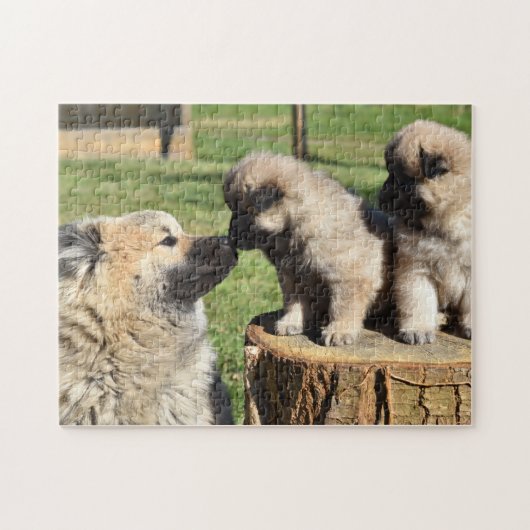 Eurasier Dog en puppies Legpuzzel (Horizontaal)
