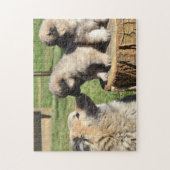 Eurasier Dog en puppies Legpuzzel (Verticaal)