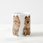 Eurasier lover's coffee mok (Center)