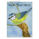 Eurasion Blue Tit (Voorkant)