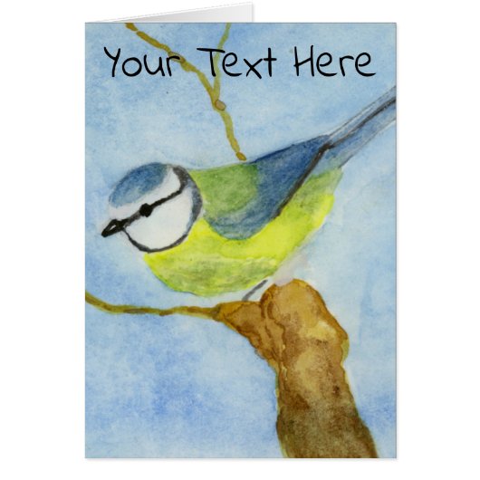 Eurasion Blue Tit (Voorkant)