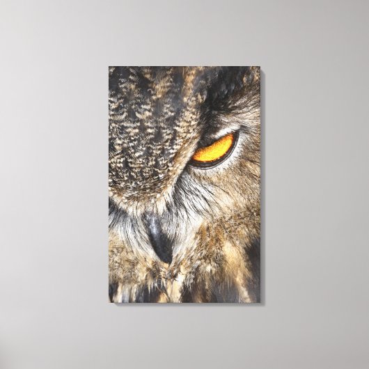 Euraziatische arend (Bubo bubo) Canvas Afdruk (Voorkant)