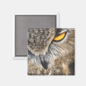 Euraziatische arend (Bubo bubo) Magneet (Voorkant / Achterkant)