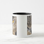 Euraziatische arend (Bubo bubo) Mok (Midden)