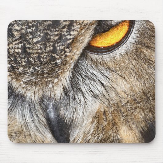 Euraziatische arend (Bubo bubo) Muismat (Voorkant)