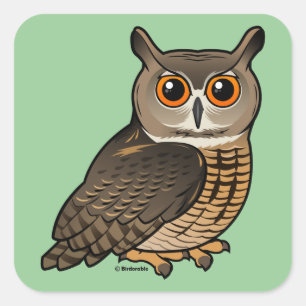 Euraziatische arend-owl vierkante sticker