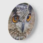 Euraziatische arenduil grote klok (Hoek)