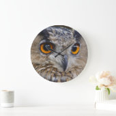 Euraziatische arenduil grote klok (Huis)