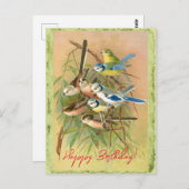 Euraziatische blauwe stit en langststaartstit briefkaart (Voorkant / Achterkant)