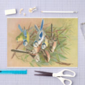 Euraziatische blauwe stit en langststaartstit, ont tissuepapier (Craft)