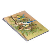 Euraziatische blauwe stit en langststaartstit, vog notitieboek (Rechterzijde)