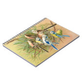 Euraziatische blauwe stit en langststaartstit, vog notitieboek (Linkerzijde)