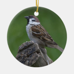 Euraziatische boomgaard keramisch ornament