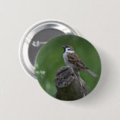 Euraziatische boomgaard ronde button 5,7 cm (Voorkant /achterkant)