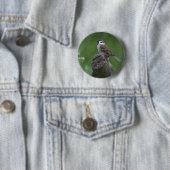 Euraziatische boomgaard ronde button 5,7 cm (In situ)