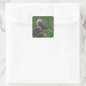 Euraziatische boomgaard vierkante sticker (Tas)