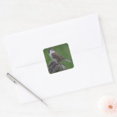 Euraziatische boomgaard vierkante sticker (Envelop)