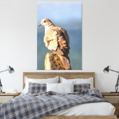 Euraziatische Collared Dove Wildlife Art Canvas Afdruk (Insitu (Slaapkamer))