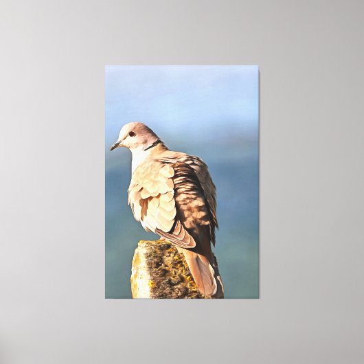 Euraziatische Collared Dove Wildlife Art Canvas Afdruk (Voorkant)
