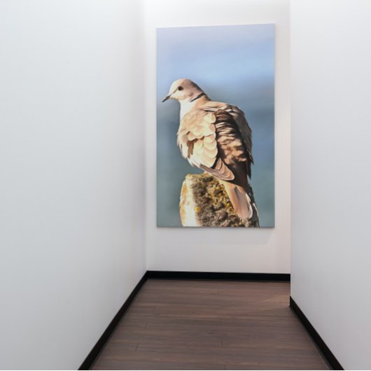 Euraziatische Collared Dove Wildlife Art Canvas Afdruk