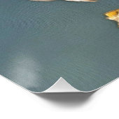 Euraziatische Collared Dove Wildlife Art Perfect Poster (Hoek)