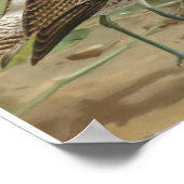 Euraziatische Curlew  vogelillustratie Poster (Hoek)