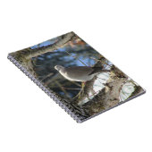 Euraziatische duif op mantel notitieboek (Rechterzijde)