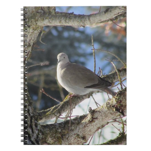 Euraziatische duif op mantel notitieboek (Voorkant)