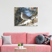 Euraziatische duif op winteresdoorn canvas afdruk (Insitu (Woonkamer))