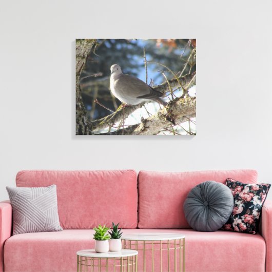 Euraziatische duif op winteresdoorn canvas afdruk (Insitu (Woonkamer))