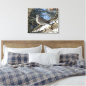 Euraziatische duif op winteresdoorn canvas afdruk (Insitu (Slaapkamer))