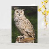Euraziatische Eagle Owl Kaart (Gele Bloem)