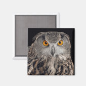 Euraziatische Eagle Owl Magnet (Voorkant / Achterkant)