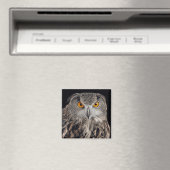 Euraziatische Eagle Owl Magnet (Insitu (Vaatwasser))