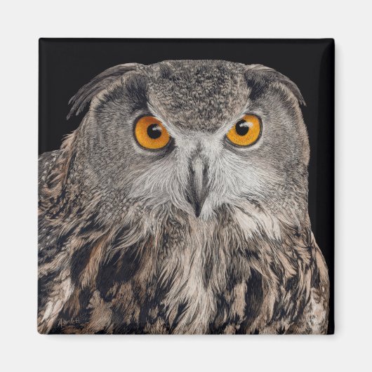 Euraziatische Eagle Owl Magnet (Voorkant)