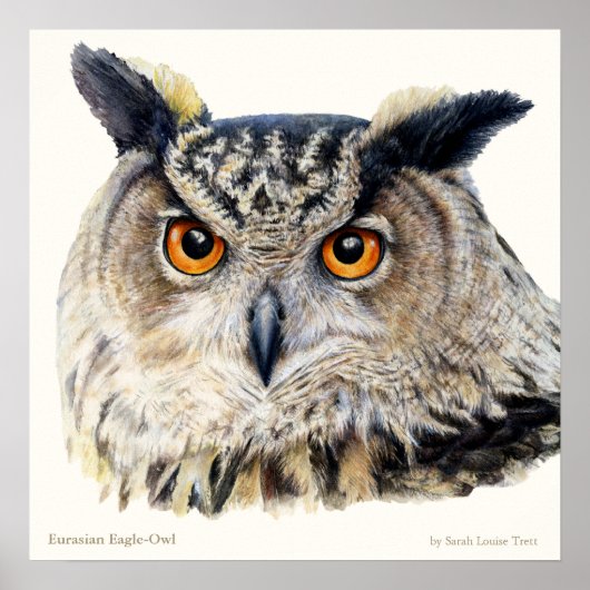 Euraziatische Eagle Owl Ornithologisch fijn poster (Voorkant)
