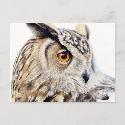 Euraziatische Eagle Owl side art waterverf briefka Briefkaart (Voorkant)