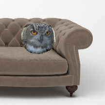 Euraziatische Eagle Uil met Oranje Ogen