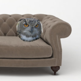 Euraziatische Eagle Uil met Oranje Ogen Rond Kussen